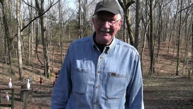 FAQ #101 How is The Leg?