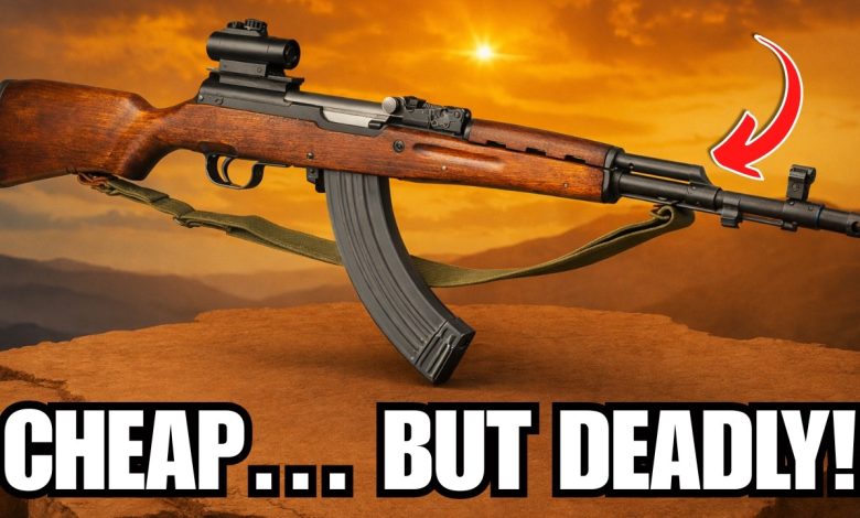 6 Budget Military Surplus Rifles That STILL Dominate in 2026!