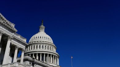 Senate rejects proposal to overturn VA’s abortion ban