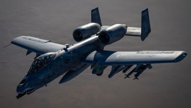 A-10 Warthogs target Iranian fast-attack craft in Strait of Hormuz