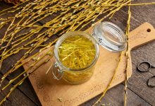 How Willow Bark Replaced Aspirin – Survivopedia