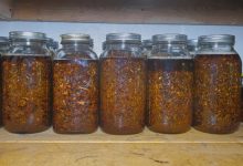 Cultural First 72 Hours Medical Strategies – Survivopedia