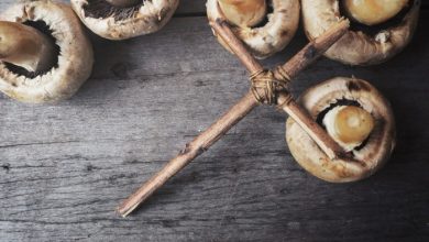 Teaching Faith Through Self-Reliance – Survivopedia