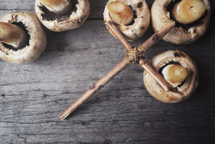 Teaching Faith Through Self-Reliance – Survivopedia Teaching Faith Through Self-Reliance – Survivopedia