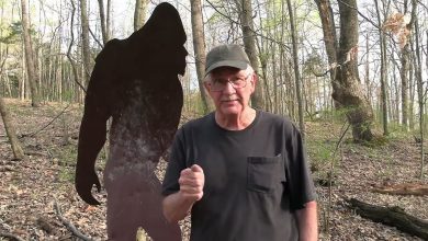 FAQ Video 102 April Meet & Greets! FAQ Video 102 April Meet & Greets!