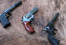 What is the Right .22  Handgun for You?