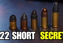 6 Shocking Facts About the .22 Short They Don’t Want You to Know!