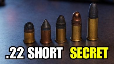 6 Shocking Facts About the .22 Short They Don’t Want You to Know! 6 Shocking Facts About the .22 Short They Don’t Want You to Know!