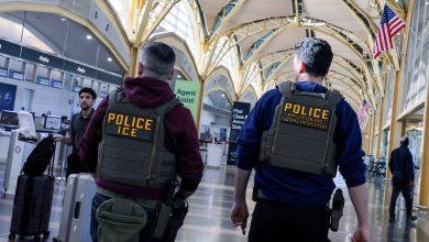 US soldier’s wife freed from ICE detention as deportation attempt continues