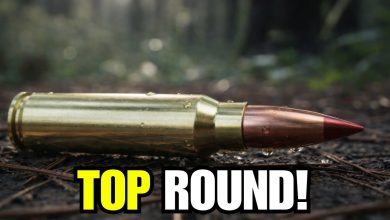 The New King Of Hunting Ammo Is Finally Here — You Won’t Believe #1! The New King Of Hunting Ammo Is Finally Here — You Won’t Believe #1!