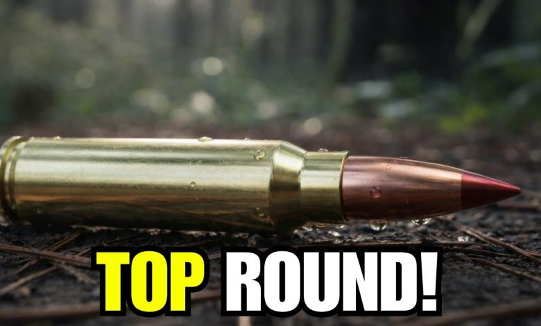 The New King Of Hunting Ammo Is Finally Here — You Won’t Believe #1!