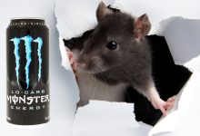 Sailor reportedly finds dead rat in finished energy drink