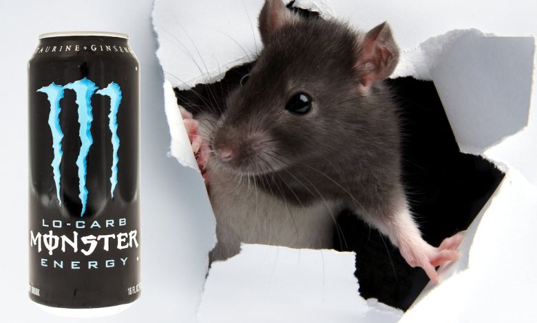 Sailor reportedly finds dead rat in finished energy drink Sailor reportedly finds dead rat in finished energy drink