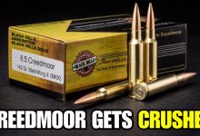 7 Cartridges That SMOKE the 6.5 Creedmoor!