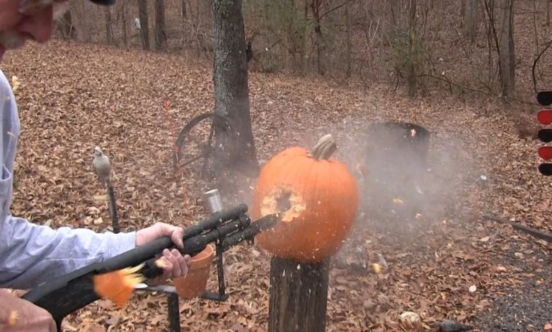 Are Slugs Underrated?