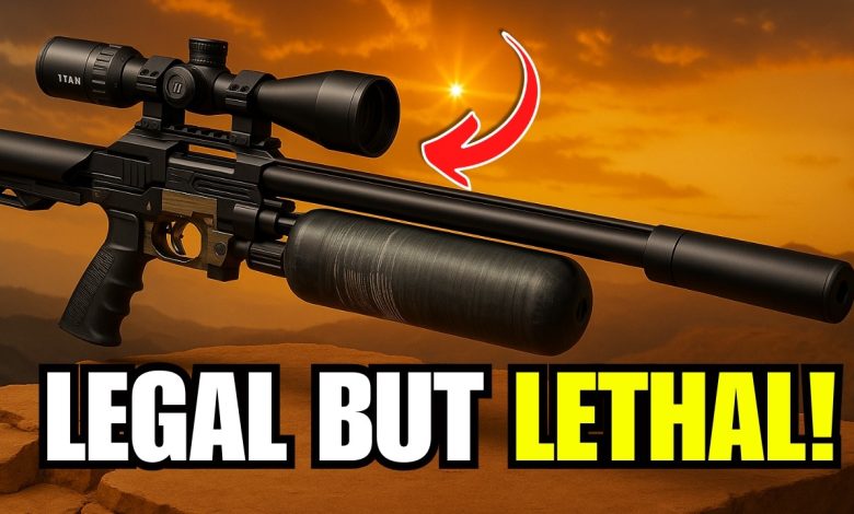 These 9 Air Rifles Can Take Down Hogs, Intruders, And Everything In Between