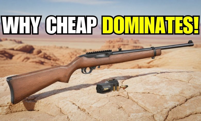 Why The Cheapest Rifle In The Safe Is Usually the MOST USEFUL