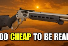 Top 5 Rifles For The $$$ (2026) || Best Budget Rifles on the Market?!