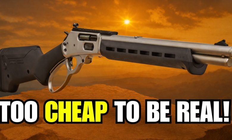 Top 5 Rifles For The $$$ (2026) || Best Budget Rifles on the Market?!
