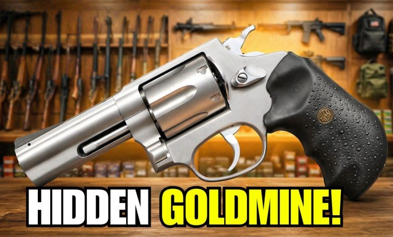5 CHEAP GUNS EVERYONE IGNORES (But These 5 Guns Are Absolute Goldmines)