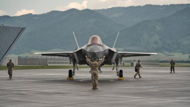 ‘Actively shrinking’: Guard generals push Congress for 100 new fighters a year