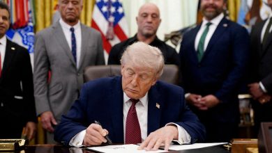 Trump clears path for expanded psychedelic research to treat veterans’ PTSD