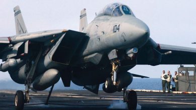 ‘Maverick Act’ saves last 3 F-14 Tomcats from destruction