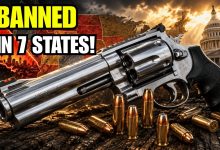 Banned in 7 States: The Truth About America’s Most Dangerous Revolver