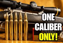 7 Hunting Calibers That Make Sense If You Only Own One Rifle