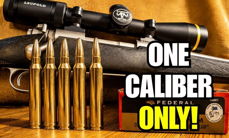7 Hunting Calibers That Make Sense If You Only Own One Rifle