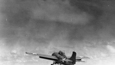The F4F Wildcat: The little fighter that could