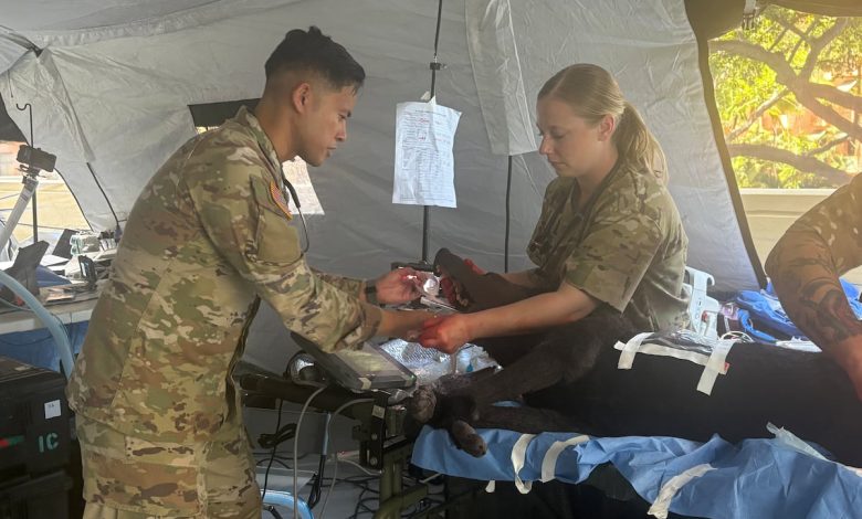 US Army integrates veterinarians into human combat care