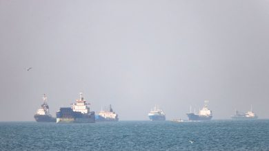 US military accompanies commercial carrier through Strait of Hormuz
