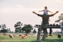 Balancing Preparedness With Contentment In The Present – Survivopedia