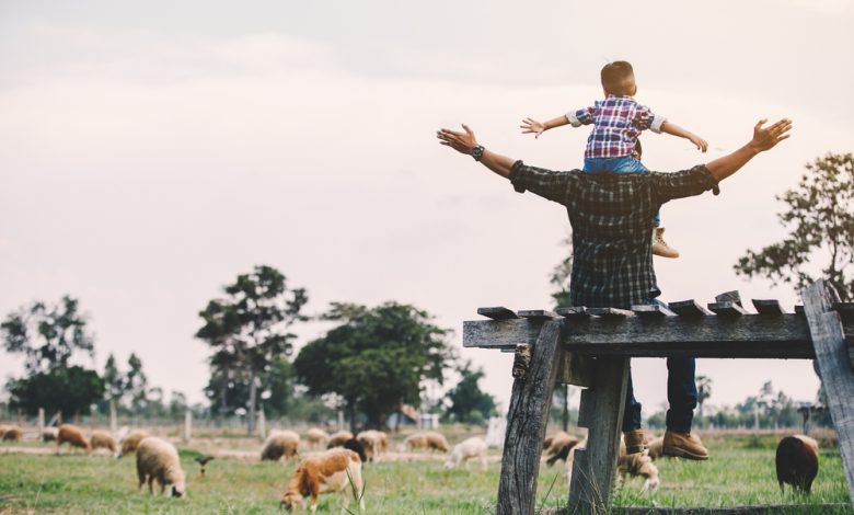 Balancing Preparedness With Contentment In The Present – Survivopedia