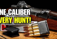 The ONLY Caliber That Can Hunt Everything in America!