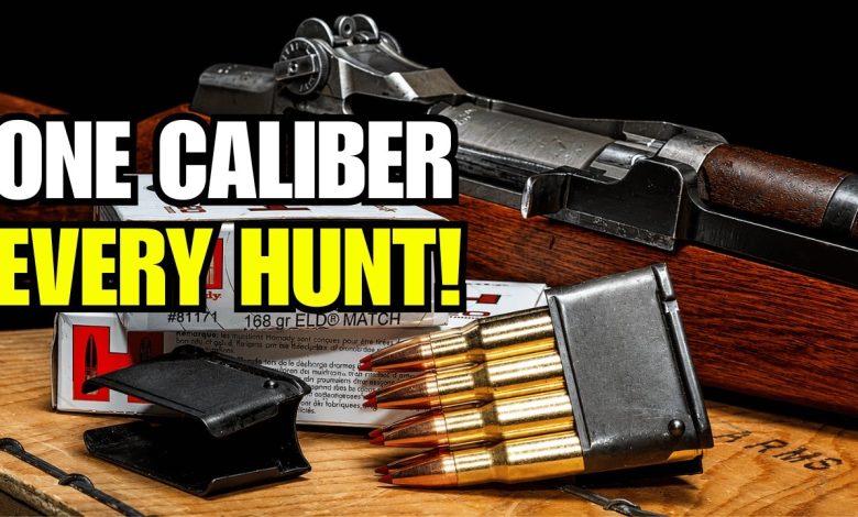 The ONLY Caliber That Can Hunt Everything in America!