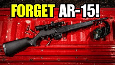 The AR-15 Alternatives People Start Considering When Bans Spread