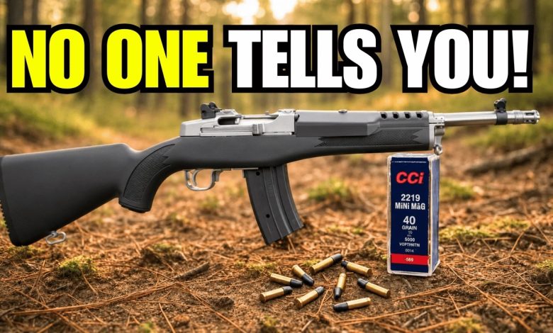 What Ruger Doesn’t Want You to Know About the Mini-14