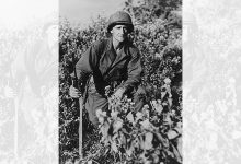 Bravery in Burma: Despite being rendered blind by the Japanese, this soldier fought on