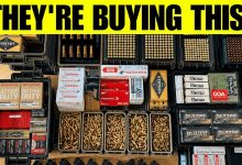 The Caliber Preppers Are Quietly Hoarding (And Why Everyone Else Is Wrong)