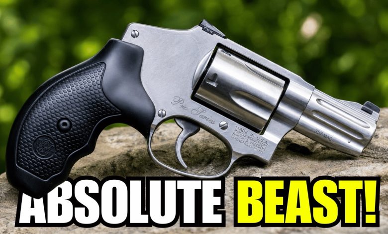 These Are 10 Best  .357 MAGNUM REVOLVERS In 2026!
