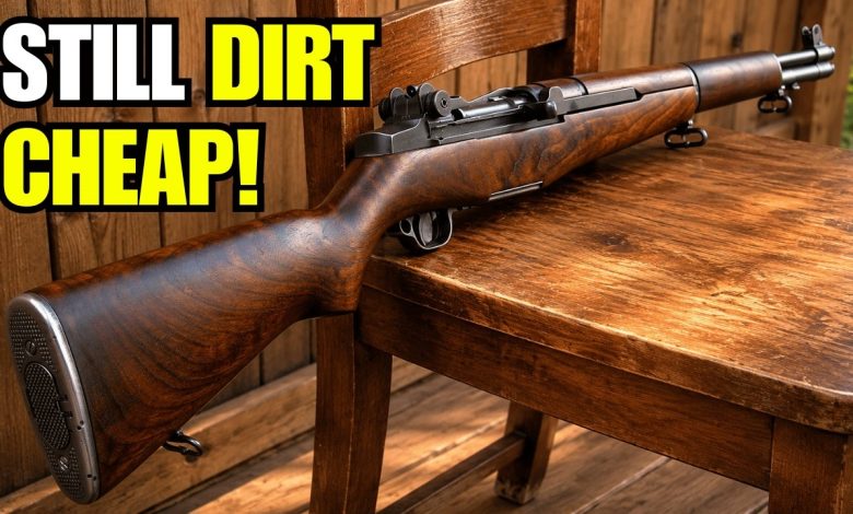 7 Dirt-Cheap Military Surplus Rifles Civilians Can Grab Under 0 In 2026!