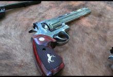 What is the Best BBQ Gun?