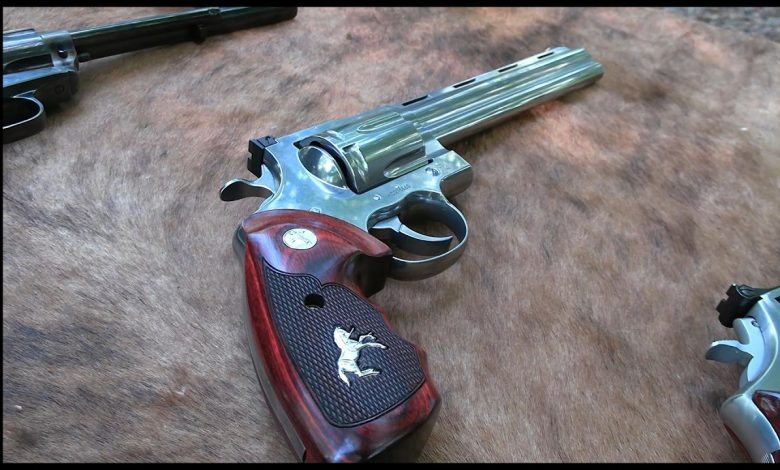 What is the Best BBQ Gun?