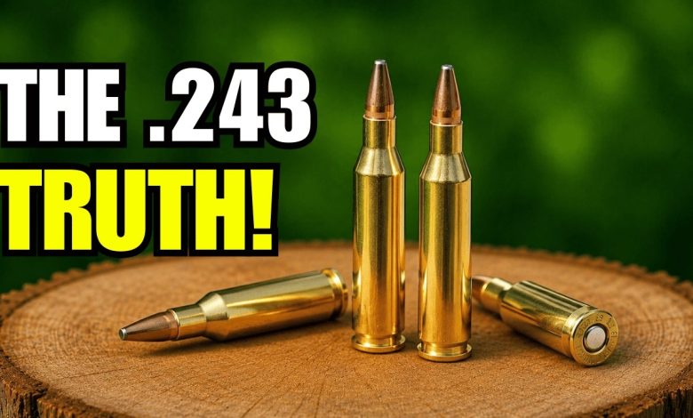 10 Shocking Facts About the .243 Winchester – They Don’t Want You to Know!