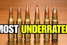 The 6 Most Underrated Hunting Calibers (The TRUTH About #3)