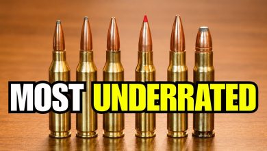The 6 Most Underrated Hunting Calibers (The TRUTH About #3) The 6 Most Underrated Hunting Calibers (The TRUTH About #3)
