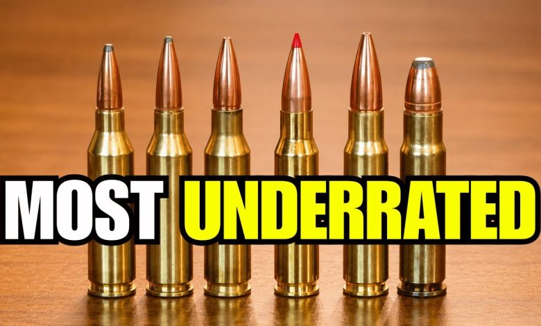 The 6 Most Underrated Hunting Calibers (The TRUTH About #3)