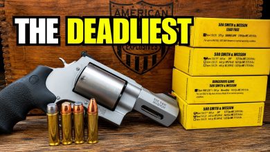 TOP 5 DEADLIEST Calibers for Revolvers! – #1 Will Shock You!